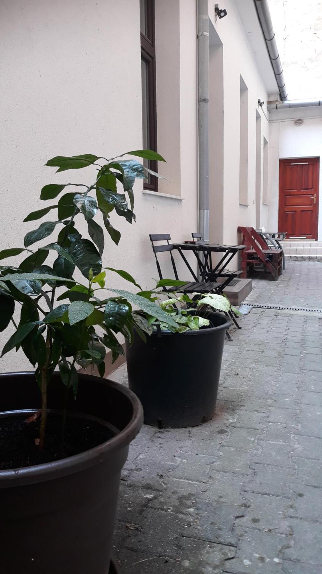M&M Apartment Budapest House Extérieur photo